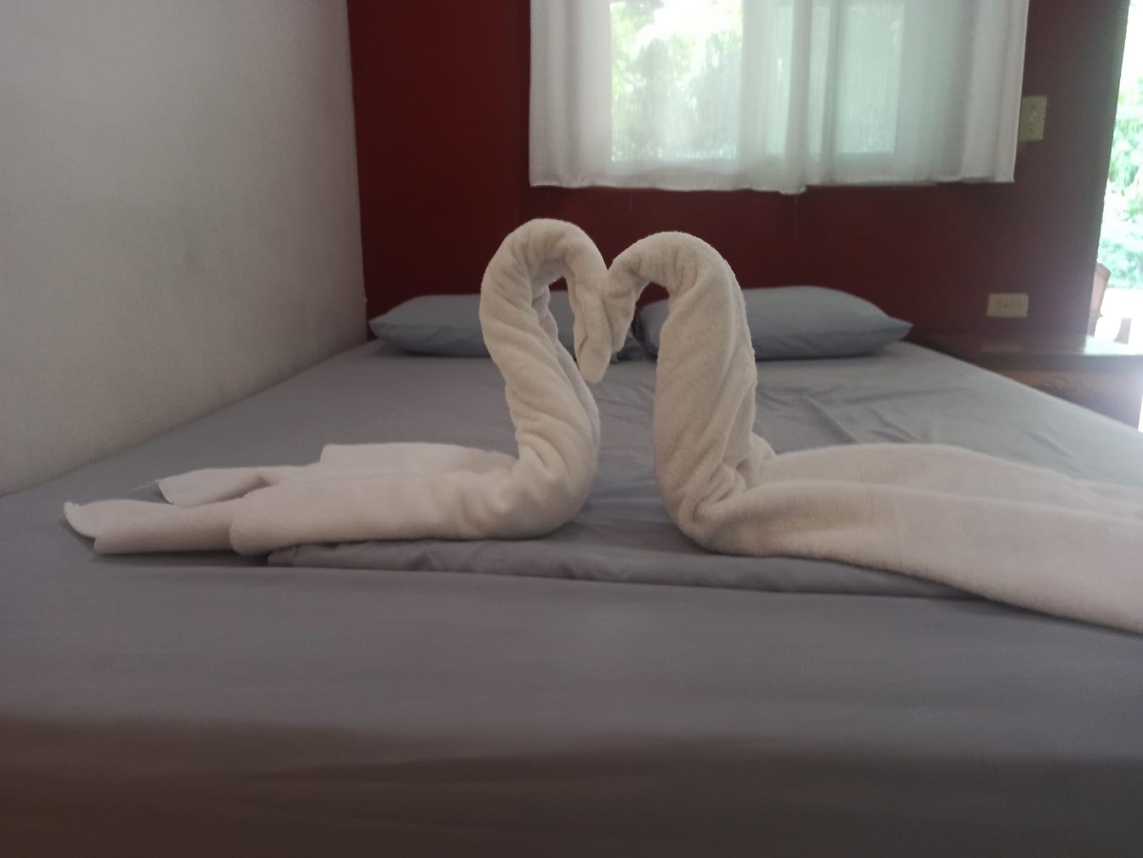 Selba Rooms