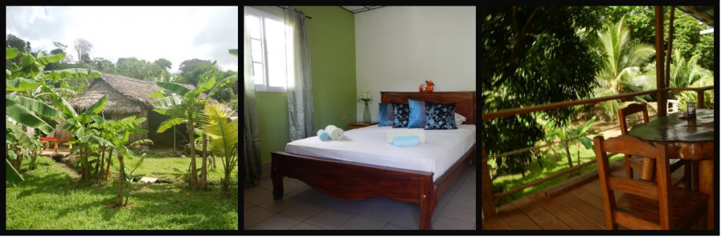 WP home 1