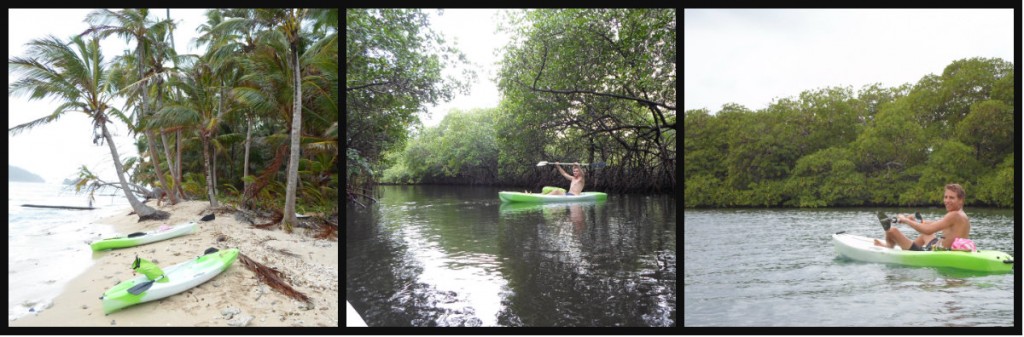 wp kayak